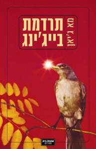 d7aad7a8d793d79ed7aa-d791d799d799d792d7b3d799d7a0d792