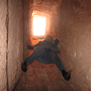 %d7%a4%d7%95%d7%91%d7%99-%d7%95%d7%93%d7%99%d7%a0%d7%92%d7%9f-%d7%9e%d7%9b%d7%a8%d7%94