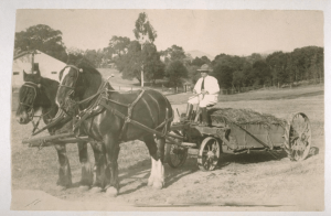 הגברת הקטנה של הבית הגדול