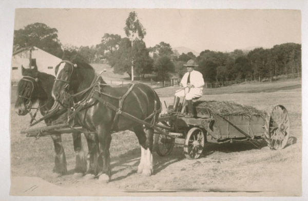 הגברת הקטנה של הבית הגדול