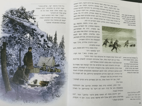 פנג הלבן - איור2